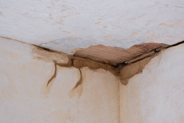 Best Water damage restoration mold remediation  in Attleboro, MA