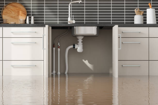 Best Water damage repair service  in Attleboro, MA