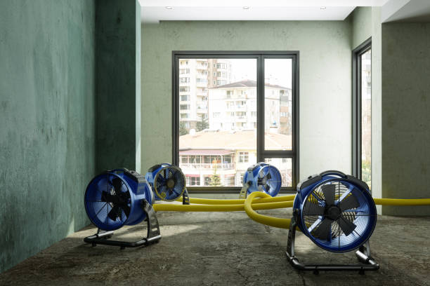 Water damage restoration insurance claims in MA