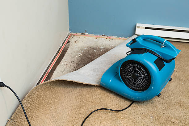 Professional Water damage restoration in MA